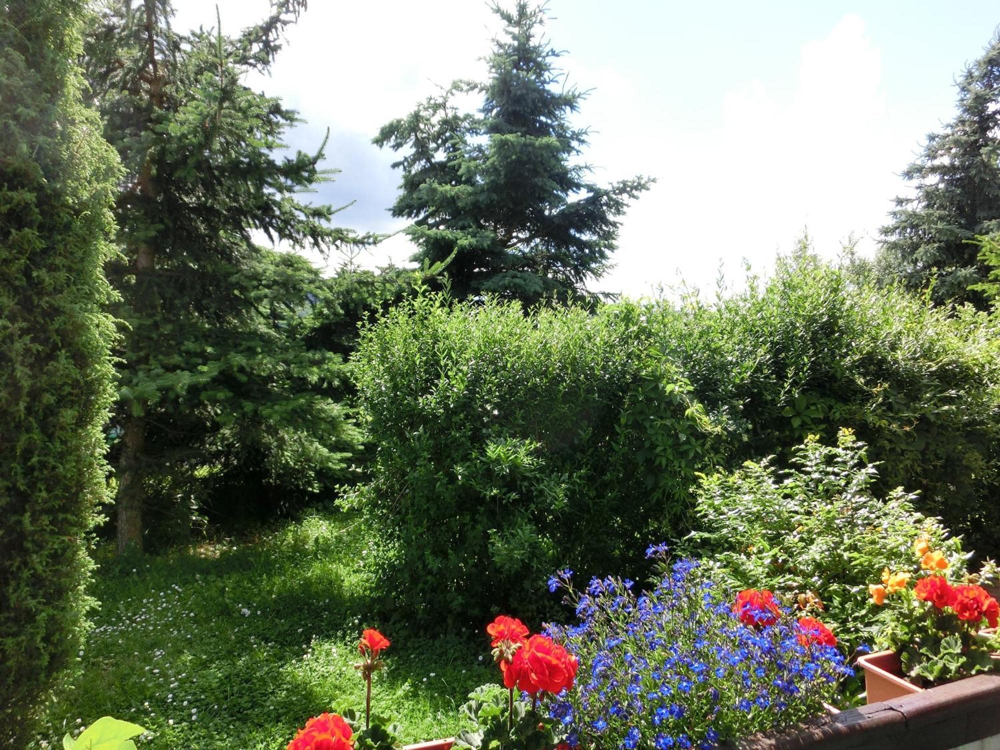 Holiday Home In Cattenstedt Harz With Garden Dış mekan fotoğraf