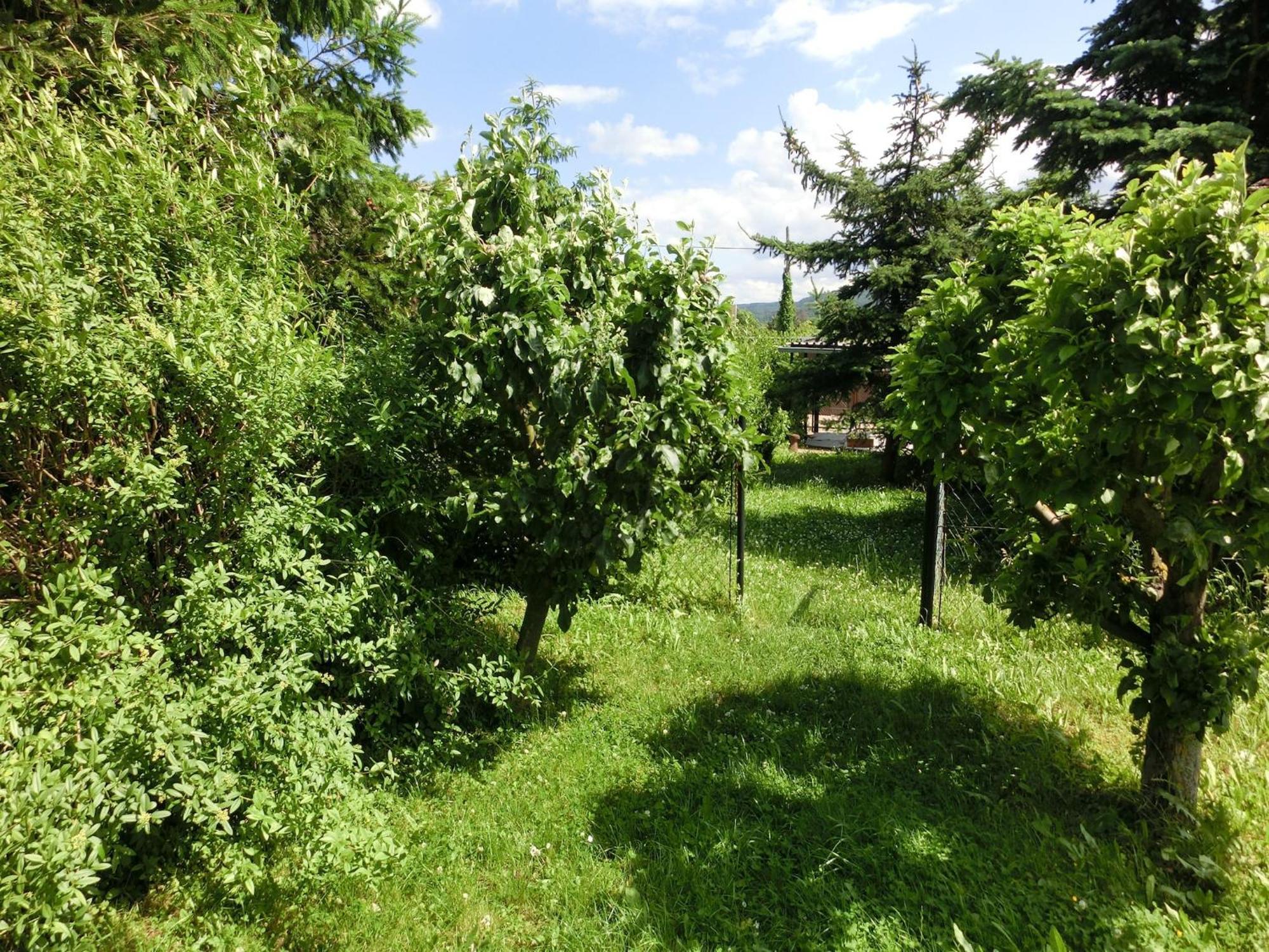 Holiday Home In Cattenstedt Harz With Garden Dış mekan fotoğraf